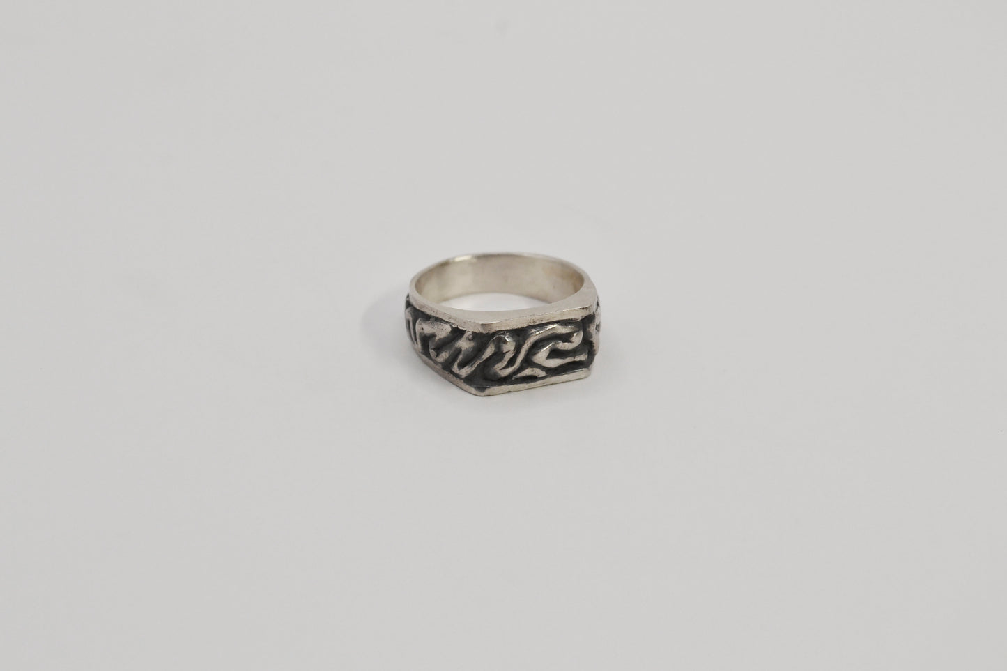 腦是世界的牢籠